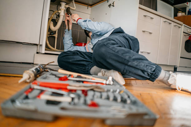 Best Clogged Drain Plumber  in Presidio, TX